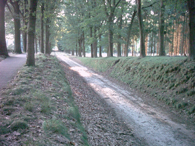 hoge-veluwe