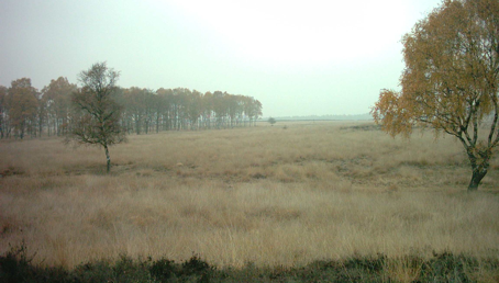 munitieopslagterrein