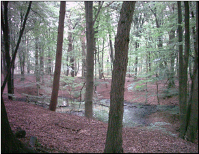 poel-bij-de-waterberg